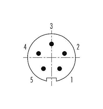 Расположение контактов (со стороны подключения) 99 4913 00 05 - Вставной-вытяжной Кабельный штекер, Количество полюсов: 5, 3,5-5,0 мм, экранируемый, пайка, IP67