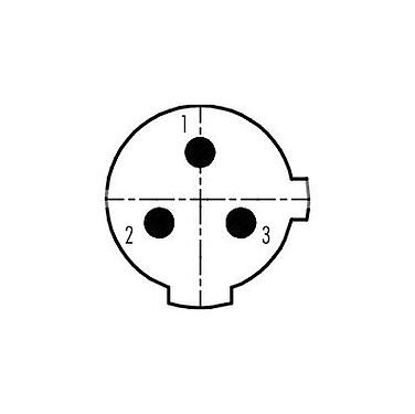 Polbild (Steckseite) 99 2429 52 03 - 1/2 UNF Winkelstecker, Polzahl: 2+PE, 6,0-8,0 mm, ungeschirmt, schraubklemm, IP67, UL