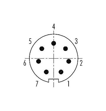 Disposición de los contactos (lado de la conexión) 99 4925 00 07 - Push Pull Conector de cable macho, Número de contactos: 7, 3,5-5,0 mm, blindable, soldadura, IP67