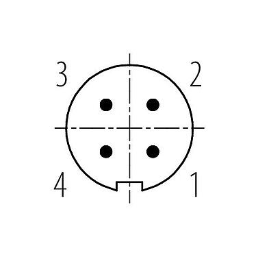 Disposition des contacts (Côté plug-in) 99 0079 100 04 - M9 Connecteur mâle, Contacts: 4, 3,0-4,0 mm, non blindé, souder, IP40
