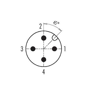 コンタクト配列（接続側） 99 0429 142 04 - M12 デュオケーブルプラグ, 極数: 4, 2xケーブルØ2.1-3.0mmまたは Ø4.0-5.0mm, 非シールド, ねじ圧着, IP67, UL