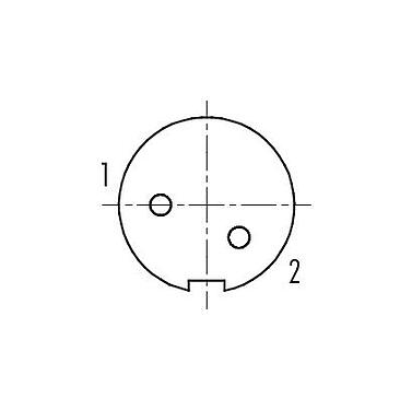 Polbild (Steckseite) 99 0402 00 02 - M9 Kabeldose, Polzahl: 2, 3,5-5,0 mm, ungeschirmt, löten, IP67