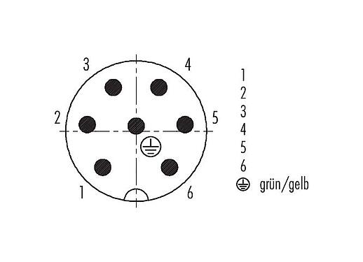 Polbild (Steckseite) 99 0213 160 07 - RD24 Kabelstecker, Polzahl: 6+PE, 12,0-14,0 mm, ungeschirmt, löten, IP67, PG 16