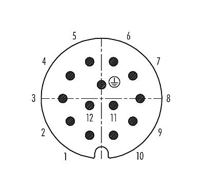 Polbild (Steckseite) 99 0717 70 13 - RD30 Winkelstecker, Polzahl: 12+PE, 10,0-12,0 mm, ungeschirmt, löten, IP65
