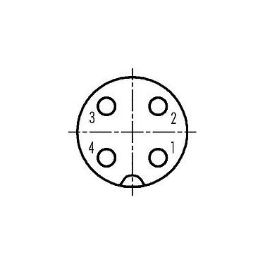 Polbild (Steckseite) 09 0440 00 04 - M18 Winkeldose, Polzahl: 4, 6,5-8,0 mm, ungeschirmt, schraubklemm, IP67