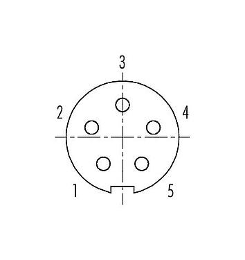 접점 배치(접속측) 99 4914 00 05 - 푸시풀 케이블 소켓, 콘택트 렌즈: 5, 3.5-5.0mm, 차폐 가능, 솔더, IP67