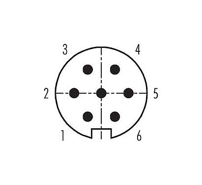 Arranjo de contato (Lado do plug-in) 99 0621 00 07 - Baioneta Plugue de cabo, Contatos: 7, 3,0-6,0 mm, desprotegido, solda, IP40