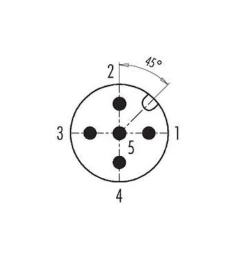 Arranjo de contato (Lado do plug-in) 99 0437 142 05 - M12 Plugue de cabo duplo, Contatos: 5, 2 x Cabo Ø 2,1-3,0 mm ou Ø 4,0-5,0 mm, desprotegido, pinça de parafuso, IP67, UL