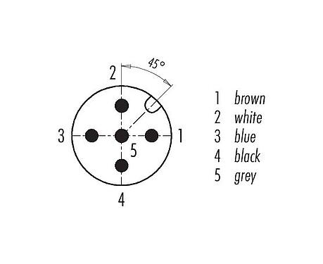 联系安排 (外掛程式側) 77 3734 3729 20405-0500 - M12/M12 连接线束弯角孔头电缆连接器, 极数: 5, 非屏蔽, 预铸电缆, IP69K, UL, Ecolab, PVC, 灰色, 5x0.34mm², 食品工业, 不锈钢, 5m