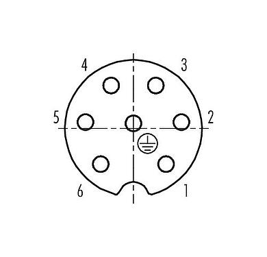 联系安排 (外掛程式側) 99 4202 14 07 - RD24 直头孔头电缆连接器, 极数: 6+PE, 10.0-12.0mm, 非屏蔽, 压接（压接触点必须单独订购）, IP67, UL, ESTI+, VDE, PG 13.5