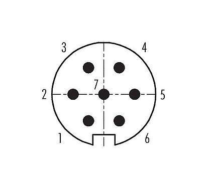 联系安排 (外掛程式側) 99 4825 00 07 - Push Pull 直头针头电缆连接器, 极数: 7, 4.0-8.0mm, 可接屏蔽, 焊接, IP67