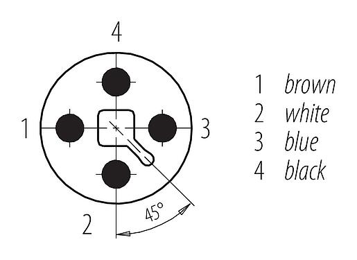 联系安排 (外掛程式側) 76 0239 0015 00044-0200 - M12 针头法兰座, 极数: 4, 非屏蔽, 带导线, IP68, UL 2238, M16x1.5, 板前安装
