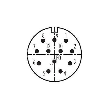 Contact arrangement (Plug-in side) 99 4607 20 12 - M23 Male panel mount connector, Contacts: 12, unshielded, solder, IP67, central fixing