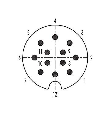 联系安排 (外掛程式側) 09 0445 00 12 - M25 直头针头电缆连接器, 极数: 12, 5.0-8.0mm, 可接屏蔽, 焊接, IP40