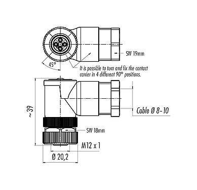 比例图 99 0630 58 04 - M12 弯角孔头电缆连接器, 极数: 4, 8.0-10.0mm, 非屏蔽, 螺钉接线, IP67, UL, VDE