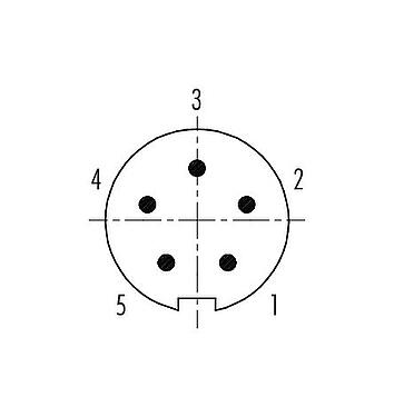 Contact arrangement (Plug-in side) 09 4915 081 05 - Push Pull Male panel mount connector, Contacts: 5, shieldable, solder, IP67, front fastened