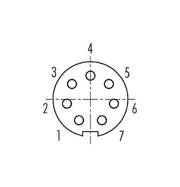 Contact arrangement (Plug-in side) 09 0424 35 07 - M9 Female panel mount connector, Contacts: 7, shieldable, THT, IP67, front fastened