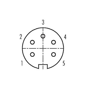 Contact arrangement (Plug-in side) 09 0316 99 05 - M16 Female panel mount connector, Contacts: 5 (05-a), unshielded, THT, IP40, front fastened