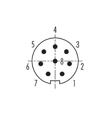 Contact arrangement (Plug-in side) 09 0427 90 08 - M9 Male panel mount connector, Contacts: 8, unshielded, THT, IP67, front fastened