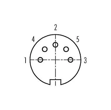 Contact arrangement (Plug-in side) 99 0142 10 05 - M16 Female angled connector, Contacts: 5 (05-b), 4.0-6.0 mm, shieldable, solder, IP40