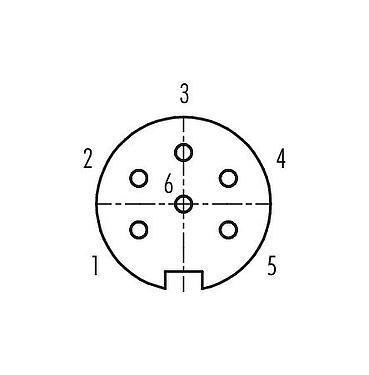 Contact arrangement (Plug-in side) 09 0144 79 06 - M16 Female angled connector, Contacts: 6 (06-a), 4.0-6.0 mm, unshielded, solder, IP40