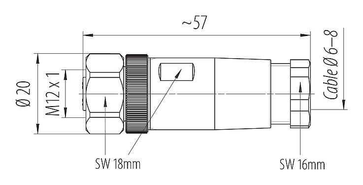 比例图 99 0630 80 04 - M12 直头孔头电缆连接器, 极数: 4, 8.0-10.0mm, 非屏蔽, 螺钉接线, IP67, 不锈钢