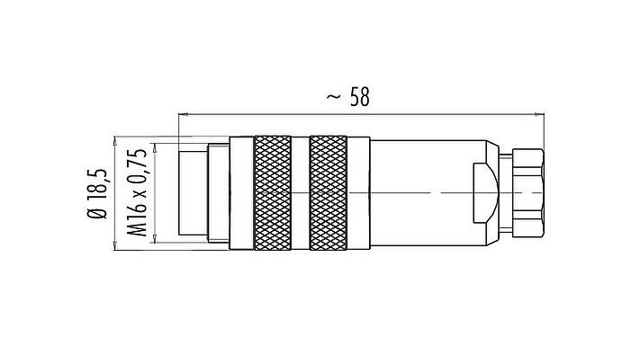 比例图 99 5101 00 02 - M16 直头针头电缆连接器, 极数: 2 (02-a), 4.0-6.0mm, 可接屏蔽, 焊接, IP67, UL