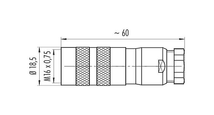 比例图 99 5614 700 05 - M16 直头孔头电缆连接器, 极数: 5 (05-a), 6.0-8.0mm, 可接屏蔽, 压接（压接触点必须单独订购）, IP67, UL