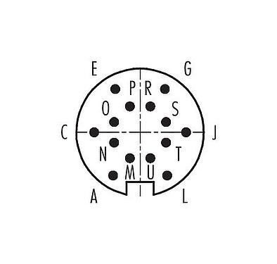 Contact arrangement (Plug-in side) 99 0653 70 14 - Bayonet Male angled connector, Contacts: 14, 4.0-6.0 mm, unshielded, solder, IP40