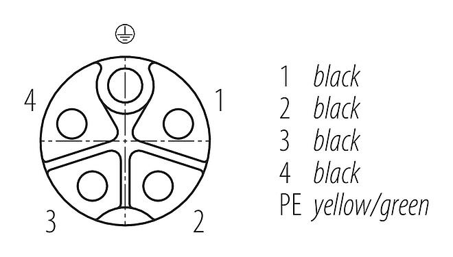 联系安排 (外掛程式側) 77 0674 0000 70505-0200 - M12 弯角孔头电缆连接器, 极数: 4+PE, 非屏蔽, 预铸电缆, IP68, UL 2238, PUR, 黑色, 5x1.50mm², 2m