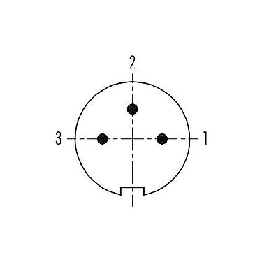 Contact arrangement (Plug-in side) 09 4907 081 03 - Push Pull Male panel mount connector, Contacts: 3, shieldable, solder, IP67, front fastened