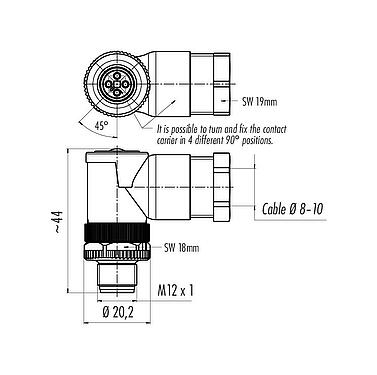 比例图 99 0629 58 04 - M12 弯角针头电缆连接器, 极数: 4, 8.0-10.0mm, 非屏蔽, 螺钉接线, IP67, UL, VDE