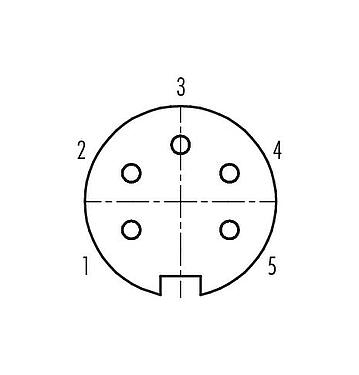 Contact arrangement (Plug-in side) 09 4816 15 05 - Push Pull Female panel mount connector, Contacts: 5, unshielded, solder, IP67