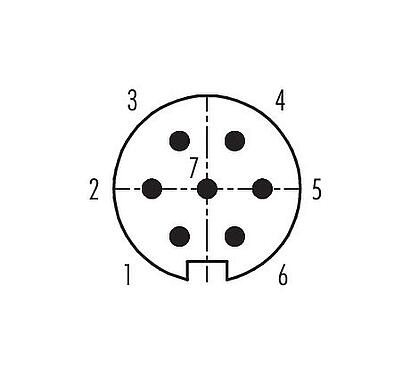 联系安排 (外掛程式側) 99 5125 15 07 - M16 直头针头电缆连接器, 极数: 7 (07-a), 4.0-6.0mm, 可接屏蔽, 焊接, IP67, UL