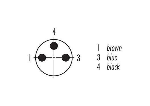 Contact arrangement (Plug-in side) 79 3409 52 03 - Snap-In Male cable connector, Contacts: 3, unshielded, moulded on the cable, IP65, PUR, black, 3 x 0.25 mm², 2 m