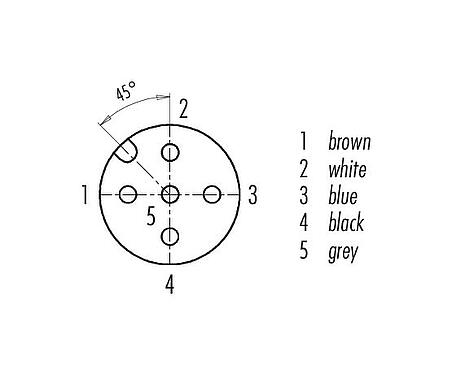 Contact arrangement (Plug-in side) 77 3430 0000 50005-0200 - M12 Female cable connector, Contacts: 5, unshielded, moulded on the cable, IP69K, UL, PUR, black, 5 x 0.34 mm², 2 m