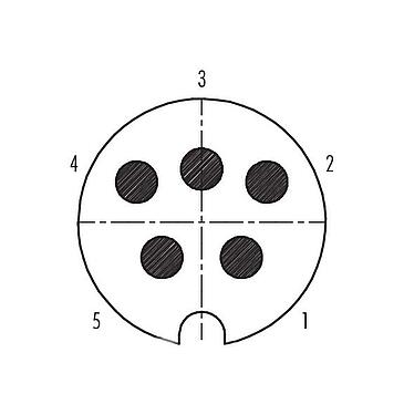 联系安排 (外掛程式側) 09 0039 00 05 - M25 针头法兰座, 极数: 5, 可接屏蔽, 焊接, IP40