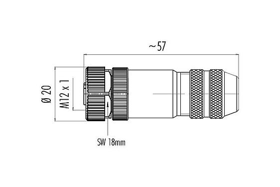 比例图 99 3730 810 04 - M12 直头孔头电缆连接器, 极数: 4, 6.0-8.0mm, 可接屏蔽, 螺钉接线, IP67, UL