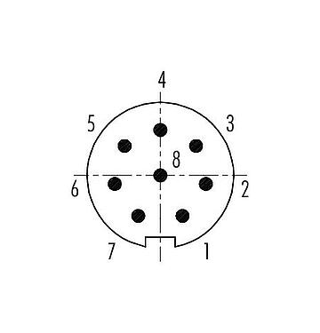 Contact arrangement (Plug-in side) 09 4931 025 08 - Push Pull Male panel mount connector, Contacts: 8, unshielded, solder, IP40