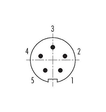 联系安排 (外掛程式側) 99 0413 00 05 - M9 直头针头电缆连接器, 极数: 5, 3.5-5.0mm, 非屏蔽, 焊接, IP67