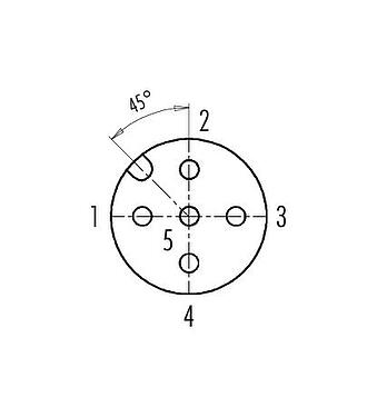 Contact arrangement (Plug-in side) 77 9840 0000 00005 - M12 Female terminating connector, Contacts: 5, unshielded, IP69K, CAN-Bus