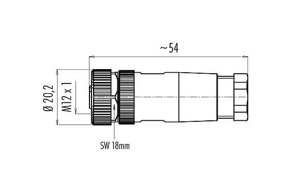 比例图 99 0436 225 05 - M12 直头孔头电缆连接器, 极数: 5, 6.0-8.0mm, 非屏蔽, 螺钉接线, IP67