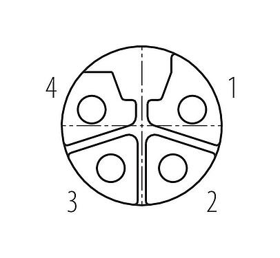 联系安排 (外掛程式側) 99 0638 29 04 - M12 直头孔头电缆连接器, 极数: 4, 8.0-13.0mm, 非屏蔽, 螺钉接线, IP67, UL, M12x1.0