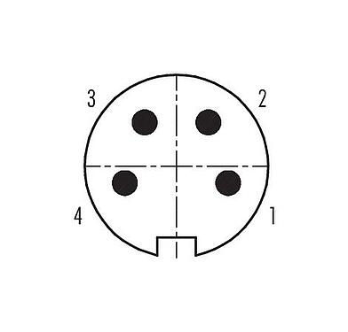 联系安排 (外掛程式側) 99 4809 00 04 - Push Pull 直头针头电缆连接器, 极数: 4, 4.0-8.0mm, 可接屏蔽, 焊接, IP67