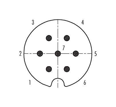 Contact arrangement (Plug-in side) 09 0063 00 07 - Bayonet Male cable connector, Contacts: 7, 5.0-8.0 mm, shieldable, solder, IP40