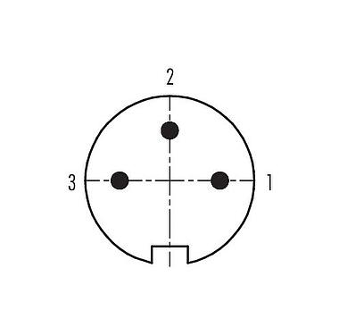 联系安排 (外掛程式側) 99 4805 00 03 - Push Pull 直头针头电缆连接器, 极数: 3, 4.0-8.0mm, 可接屏蔽, 焊接, IP67