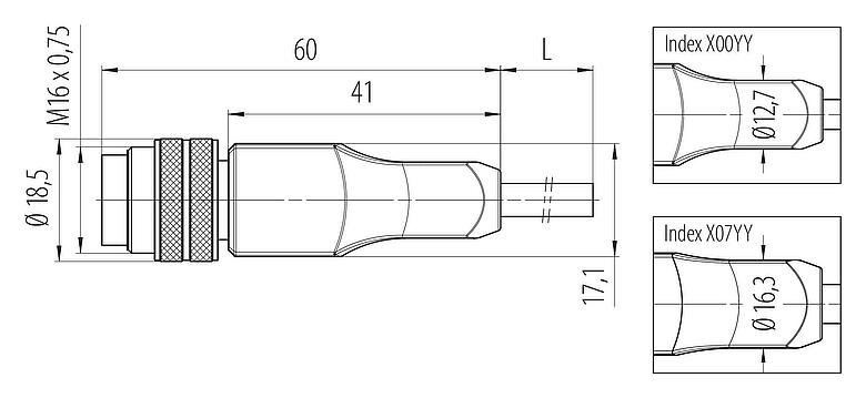 Scale drawing 77 6529 0000 50712-0500 - M16 Male cable connector, Contacts: 12, shielded, moulded on the cable, IP68, PUR, black, 12 x 0.25 mm², 5 m