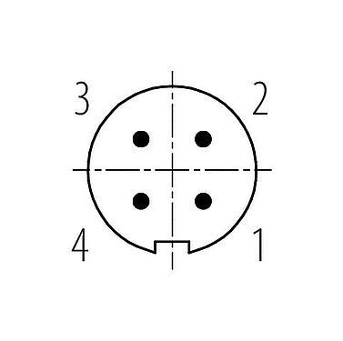 联系安排 (外掛程式側) 99 0079 102 04 - M9 直头针头电缆连接器, 极数: 4, 4.0-5.0mm, 非屏蔽, 焊接, IP40
