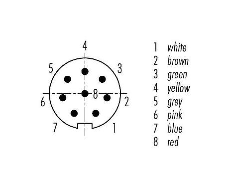 Contact arrangement (Plug-in side) 79 1461 212 08 - M9 Male cable connector, Contacts: 8, unshielded, moulded on the cable, IP67, PUR, black, 8 x 0.14 mm², 2 m