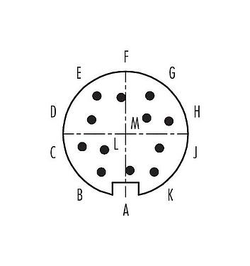 联系安排 (外掛程式側) 99 4833 00 12 - Push Pull 直头针头电缆连接器, 极数: 12, 4.0-8.0mm, 可接屏蔽, 焊接, IP67